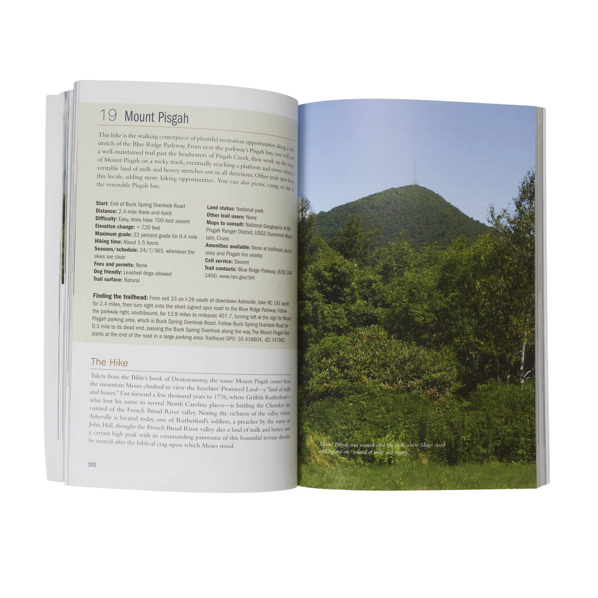 Best Hikes Asheville, North Carolina - Image 3