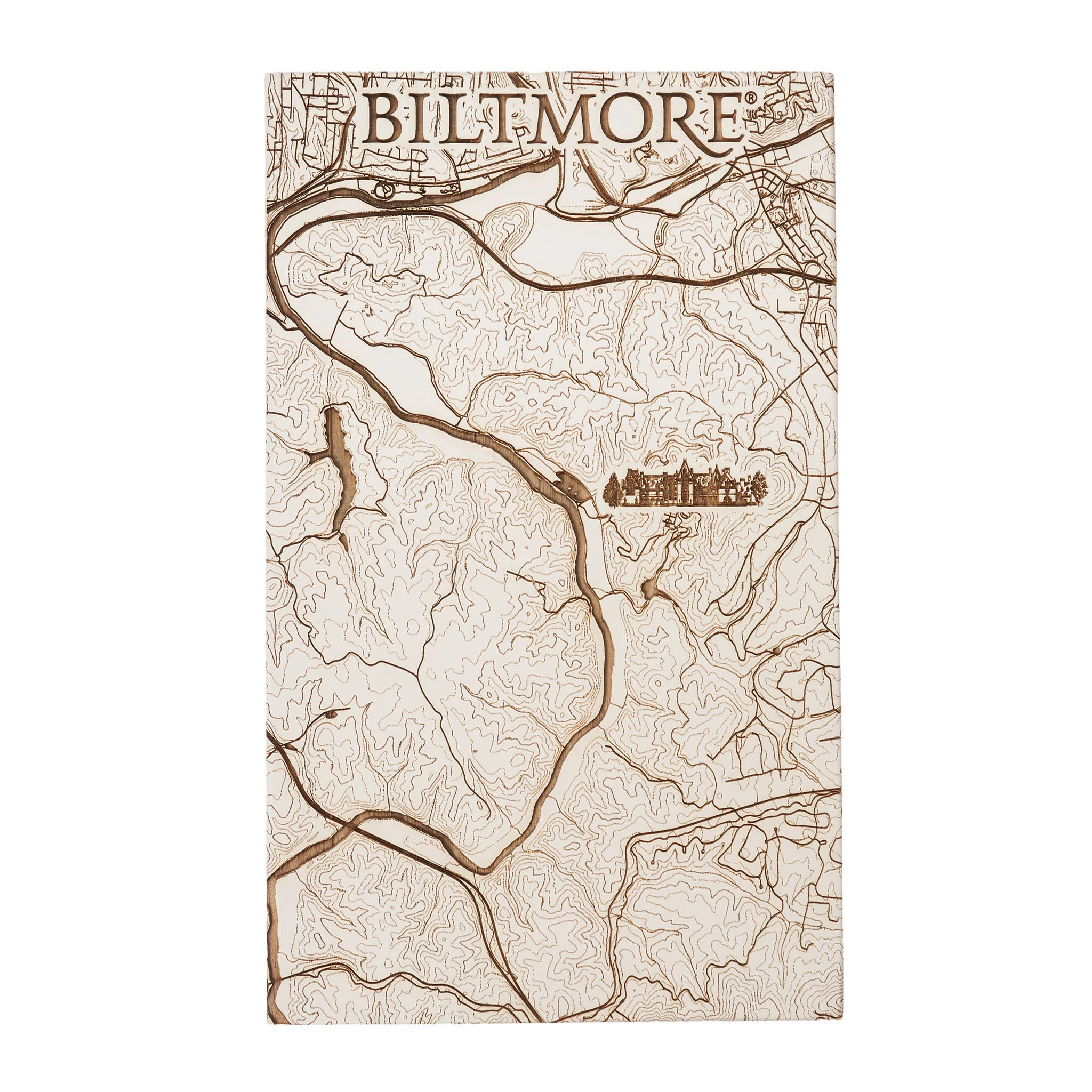 Biltmore Estate Wood Map - Image 3
