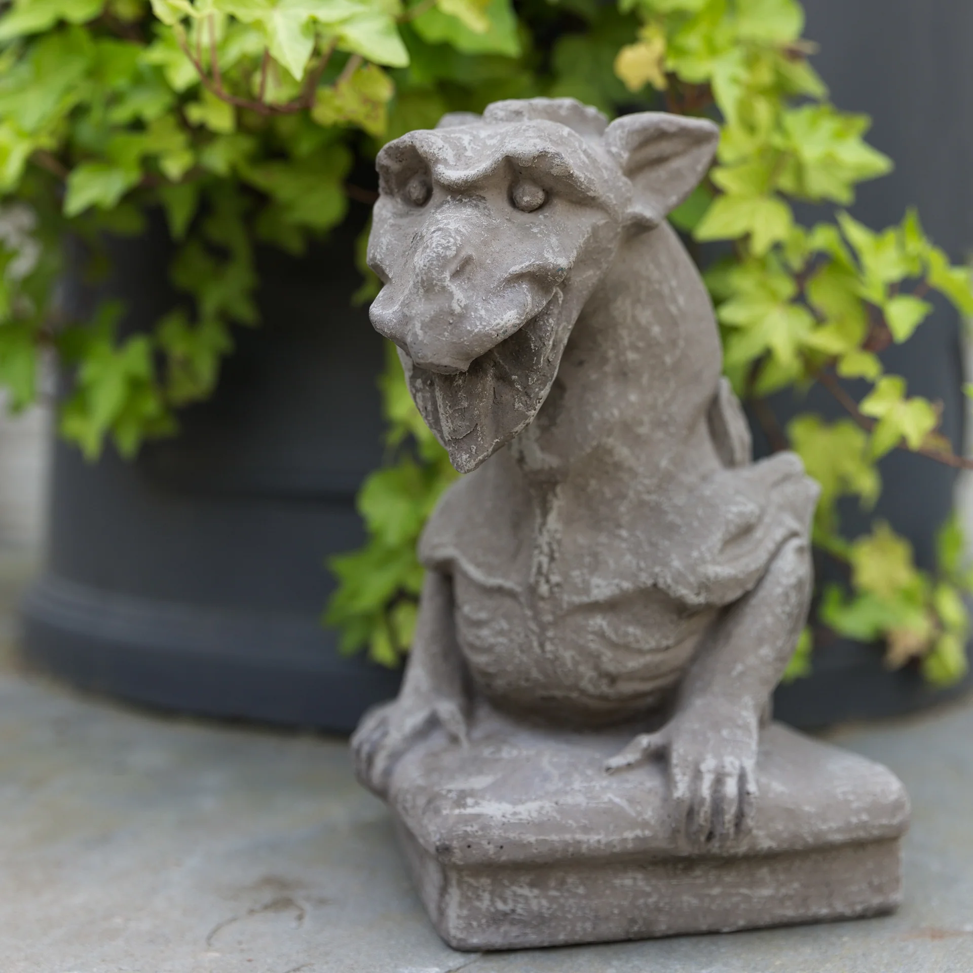 Dragon Gargoyle - Image 5