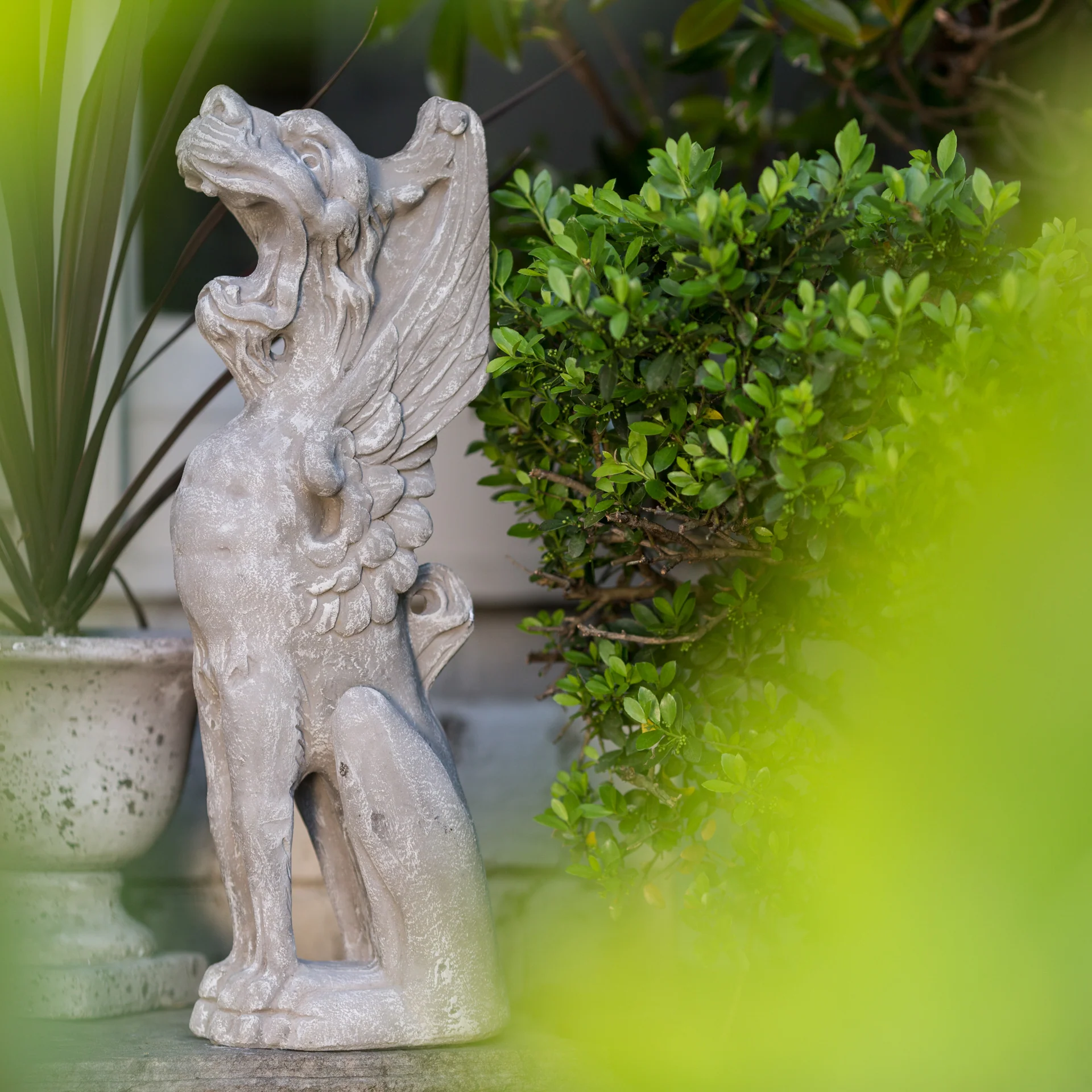 Roaring Gargoyle - Image 4